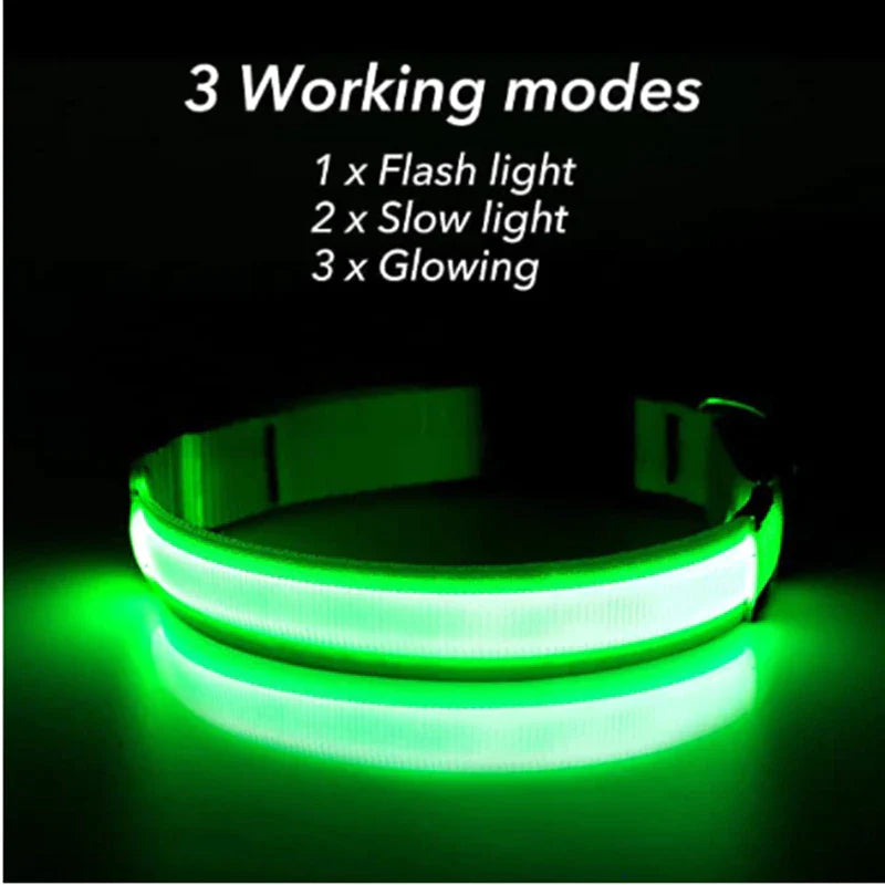 Pets Safety Led Collar™